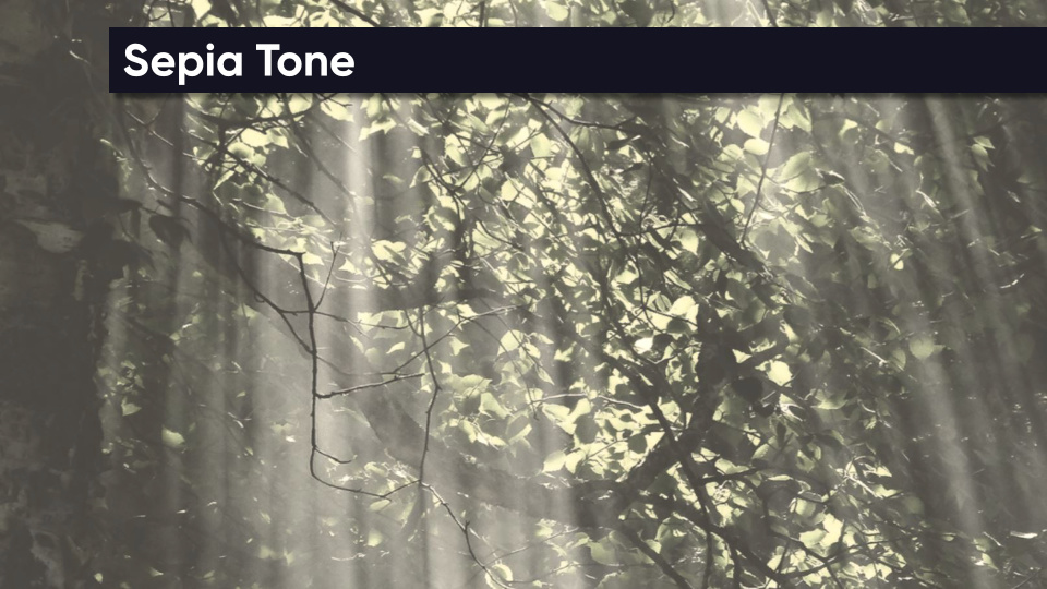Sepia Tone