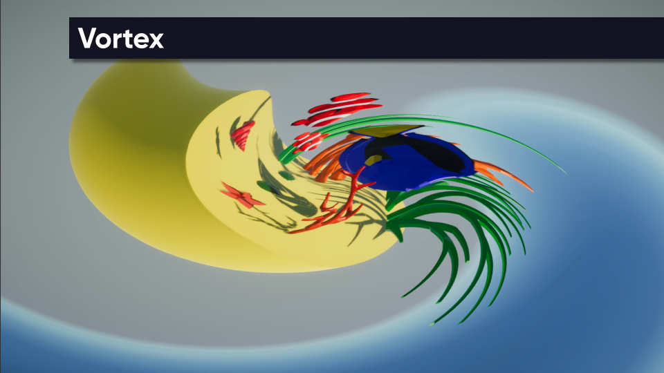Vortex