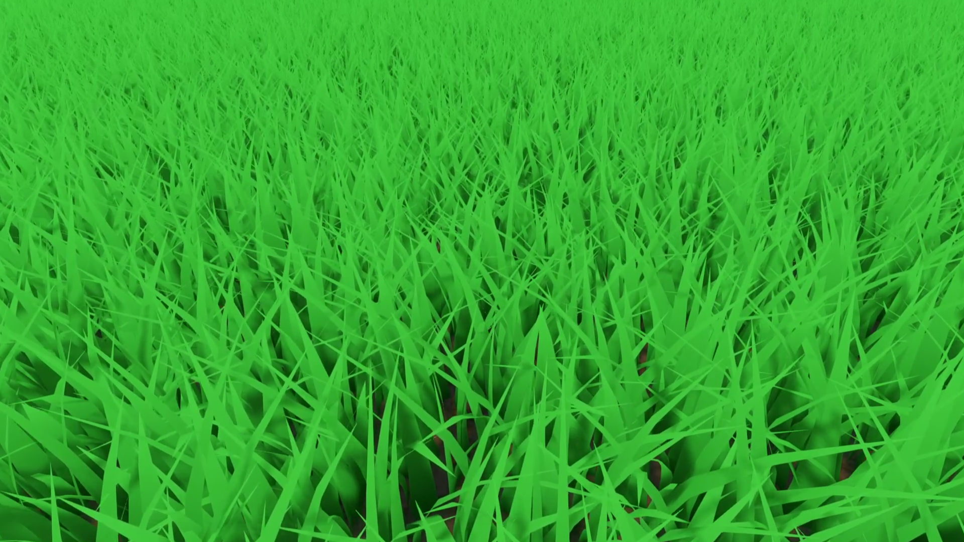 Geometry and Tessellation Shader Grass.
